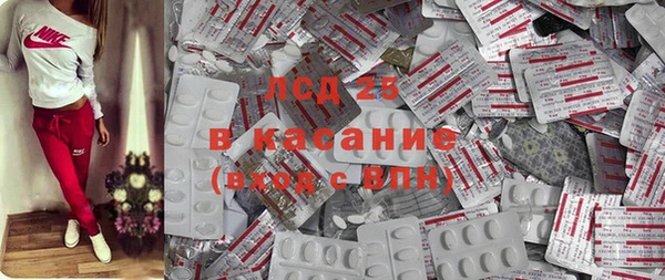 сатива Белокуриха