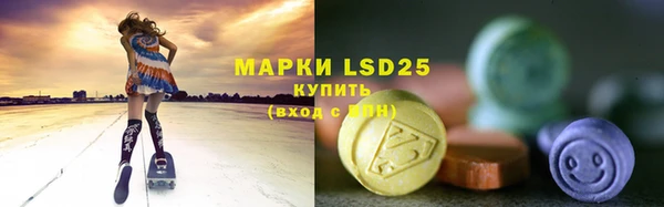 сатива Белокуриха