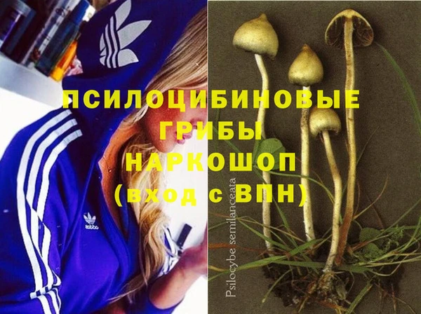 сатива Белокуриха