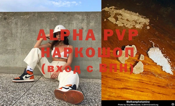 сатива Белокуриха